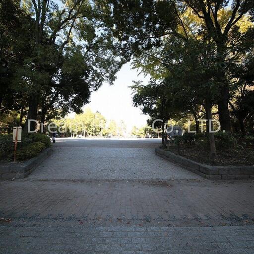 教育の森公園