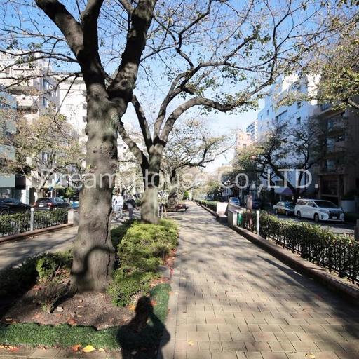 播磨坂まで歩いて5分 子育てにも家族にもウレシい